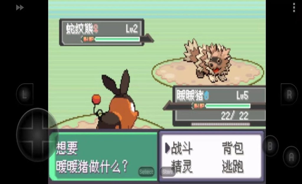 口袋妖怪漆黑的魅影5.0破解版(1)