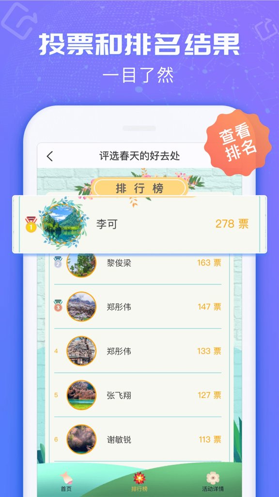 投票易(5)