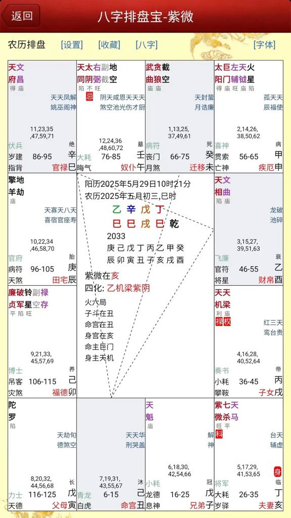 马国峻八字排盘宝(4)