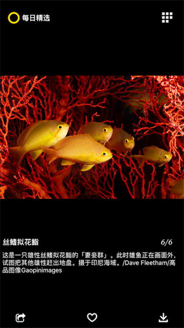 每日精选官方版(5)