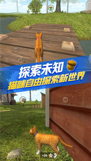 猫咪生存模拟器手游(3)
