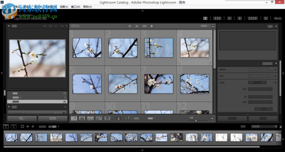 lightroom无法正常启动怎么办？解决lightroom无法启动方法