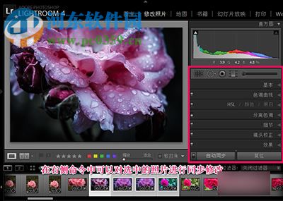 lightroom怎么批量处理照片？lightroom批量处理照片的方法