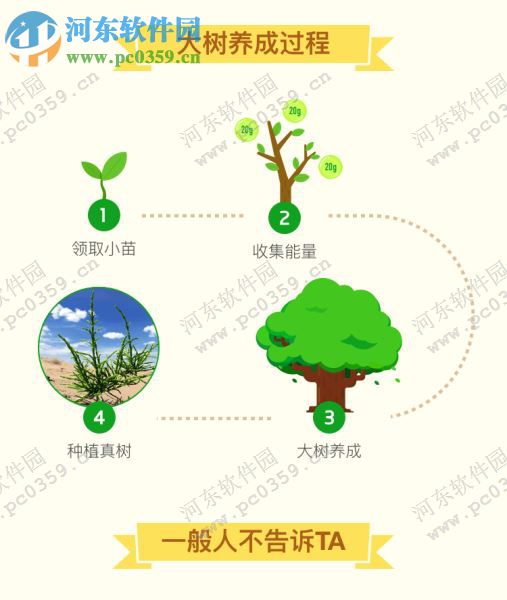 支付宝蚂蚁森林怎么集福？蚂蚁森林集福方法介绍？