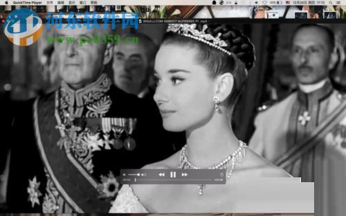 mac中下载网页版B站视频的方法