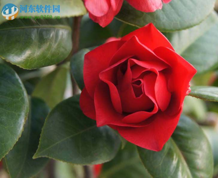 ps使用ps lab颜色抠图的方法