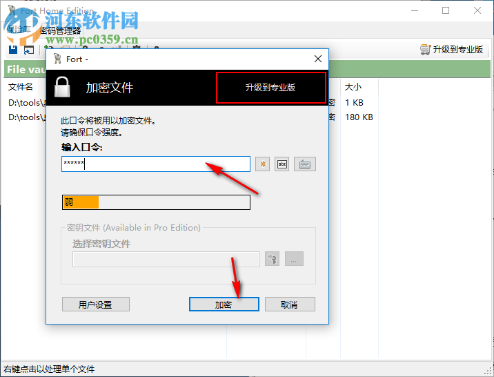 Fort Home Edition(文件密码管理软件) 5.0.0.0 中文版