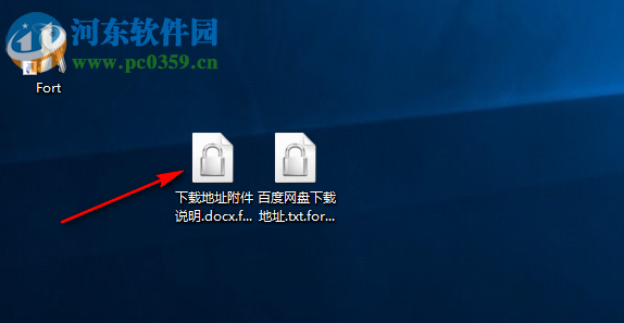 Fort Home Edition(文件密码管理软件) 5.0.0.0 中文版
