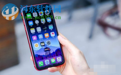 iPhone XR信号差怎么办 解决iPhone XR信号差的办法