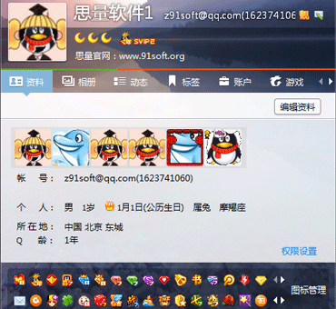 思量QQ亮钻大师 2.0 绿色版