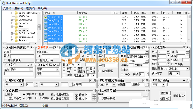 Bulk Rename Utility(文件更名工具) 2.7.1.3 免费版