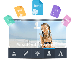 Apowersoft视频转换王