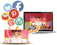 Apowersoft专业截屏王 1.4.7.18 官方免费版