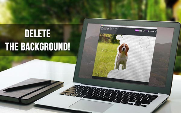 Cut Out Shapes Pro Mac版 1.0