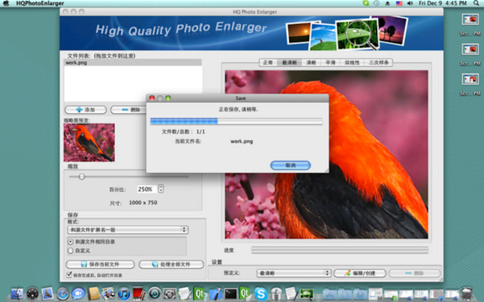 HQ Photo Enlarger for mac版 1.68
