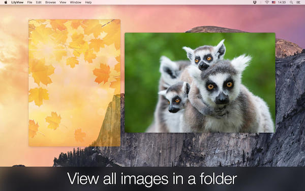 LilyView for mac版 1.1.2