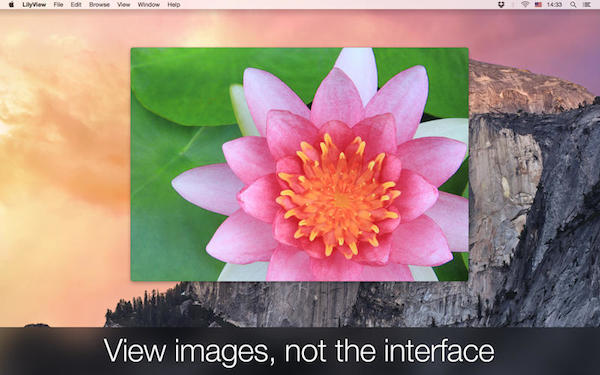 LilyView for mac版 1.1.2