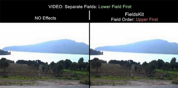 FieldsKit Mac版(AE隔行去场插件) 3.4.0