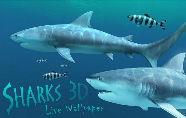 Sharks 3D Mac版 1.2.0
