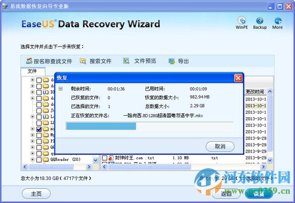 易我数据恢复向导专业版 7.0 绿色汉化版