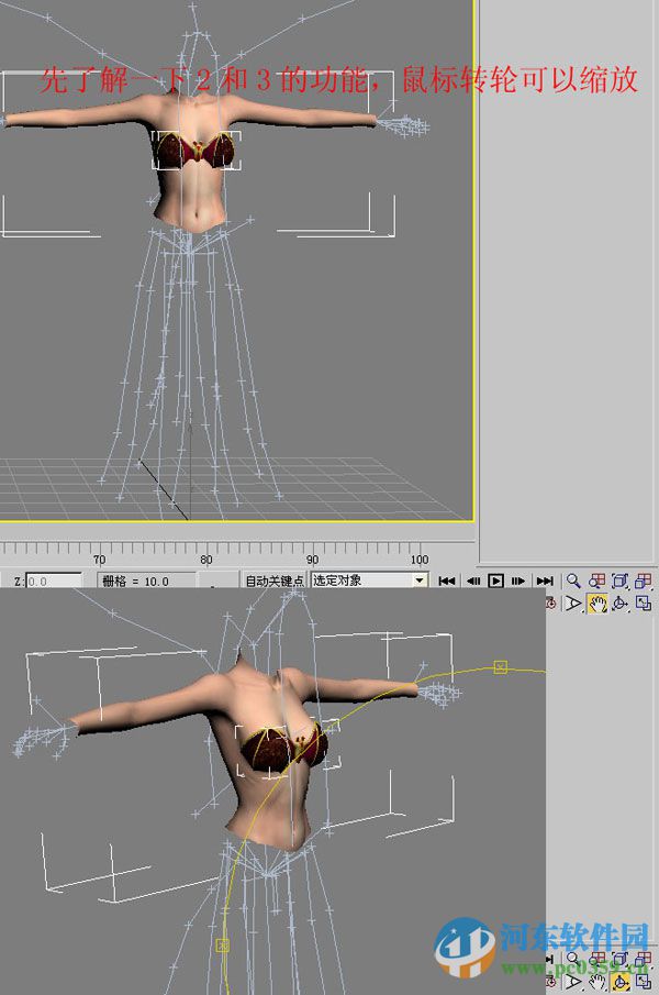 3dmax2016 nif插件下载 3.8 官方版
