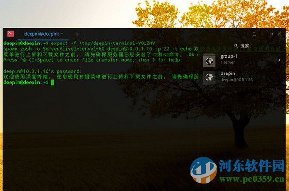 深度终端下载 2.6 官方版