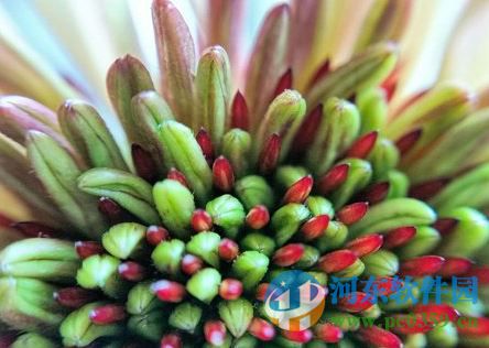 Topaz Impression 2(PS手绘效果滤镜) 2.0.3 官方免费版