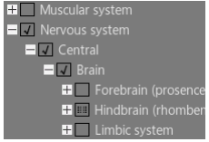 3DBody系统解剖下载 7.0 中文正式版无限制