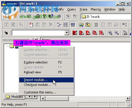 wincvs(代码版本控制软件) 1.3 最新中文版版