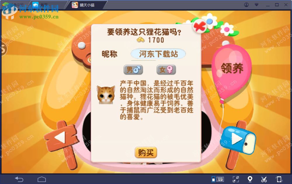 晴天小猫电脑端运行方法 2.2.3 安卓模拟器版