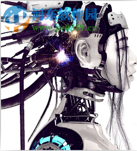 极道沪牌下载 1.8 官方版