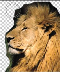 maskpro4.0抠图滤镜(32/64位) 4.0 绿色版