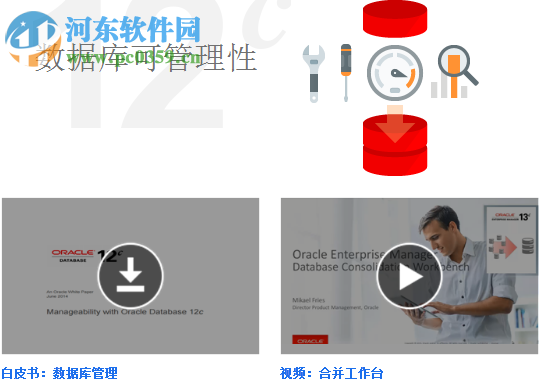 Oracle Client(Oracl数据库)64位 11.2.0.3.0 官方版