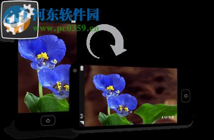 DivX Plus(高清播放器) 10.8.7 多国语言版