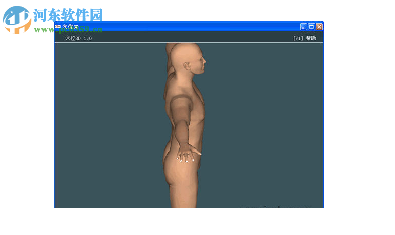 人体穴位3D模型(人体穴位查询软件) 2017 中文免费版