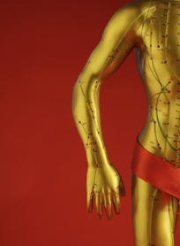 人体穴位3D模型(人体穴位查询软件) 2017 中文免费版