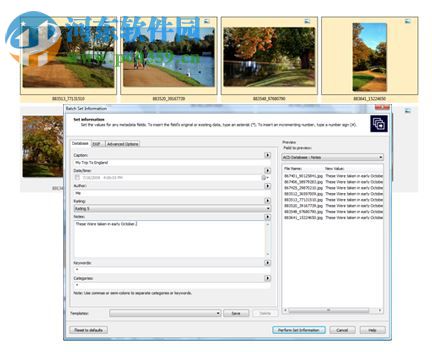 ACDSee Photo Manager 2009 11.0 汉化纯净安装版