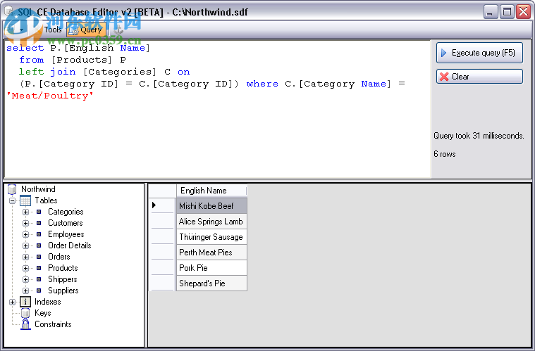 databaseeditor(数据库编辑器) 0.1.9.2 免费绿色版