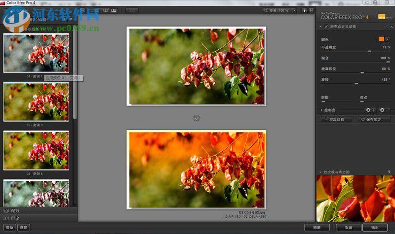 Color Efex Pro(调色滤镜) 4.0 中文破解版