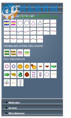 pathway builder tool(信号通路作图软件) 2.0 免费版