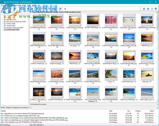 Extreme Picture Finder网站图片下载器 3.42.4 免费版