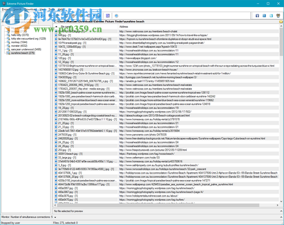 Extreme Picture Finder网站图片下载器 3.42.4 免费版