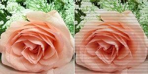 photocap7.0(照片批量处理) 简体中文免费版