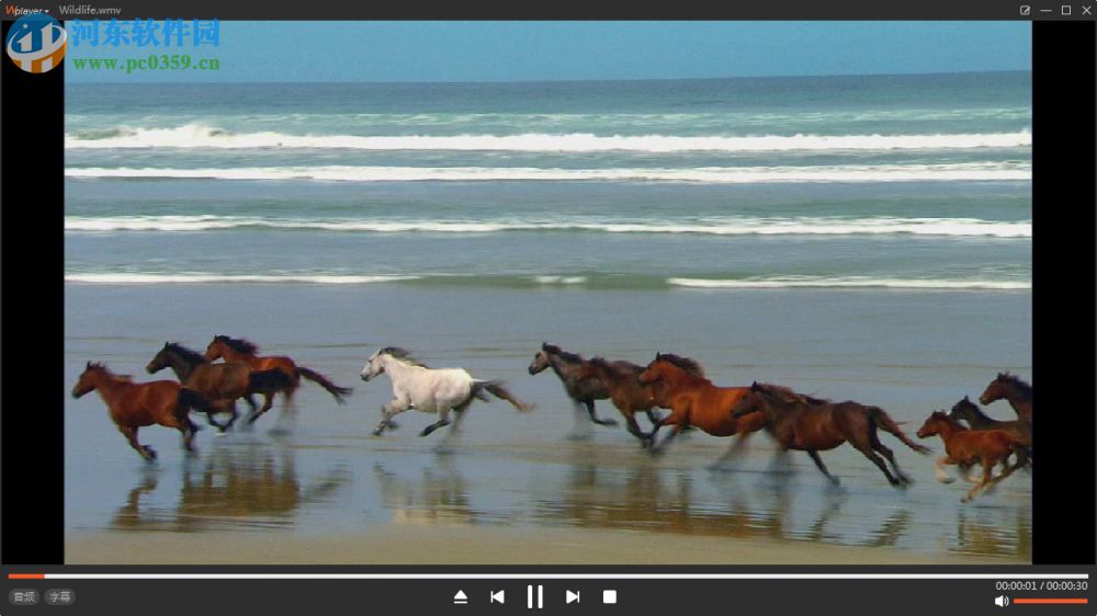 王牌播放器(wplayer)下载 1.0.0.6 官方版