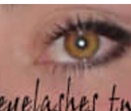 ps眼睫毛笔刷 10套 免费版