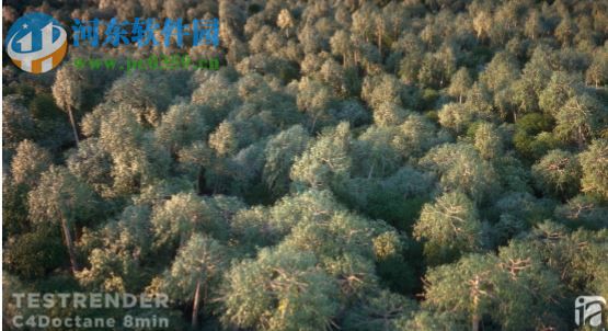 octane render 3下载 中文特别版