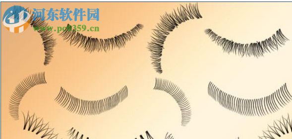PS睫毛笔刷(附安装教程) 免费版