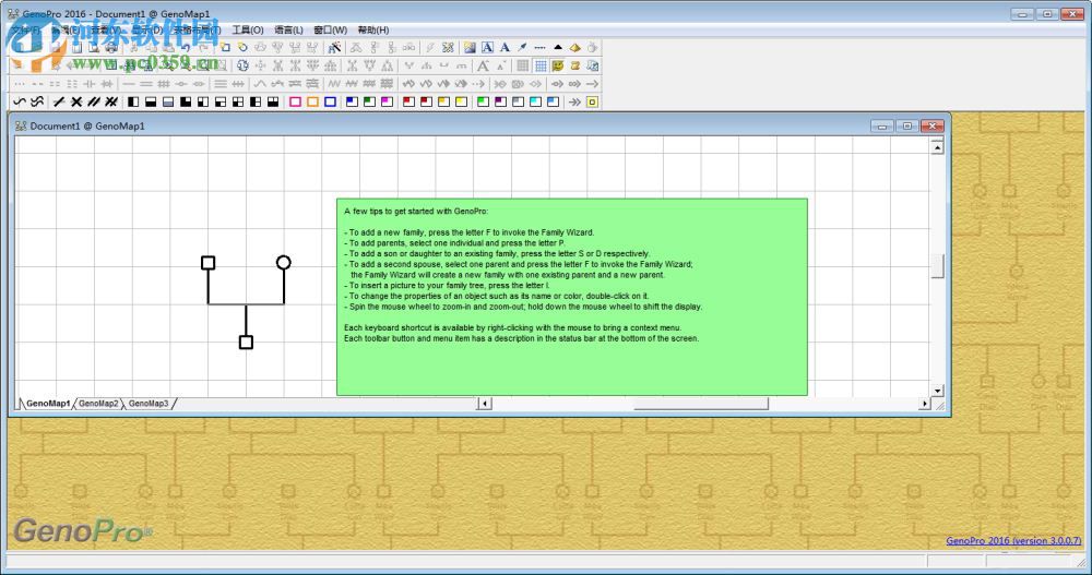 GenoPro2019(族谱制作软件) 下载 3.0.1.5 中文免费版