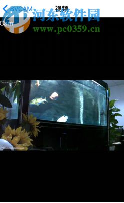 BVCAM软件pc客户端下载 1.7.0 官方版