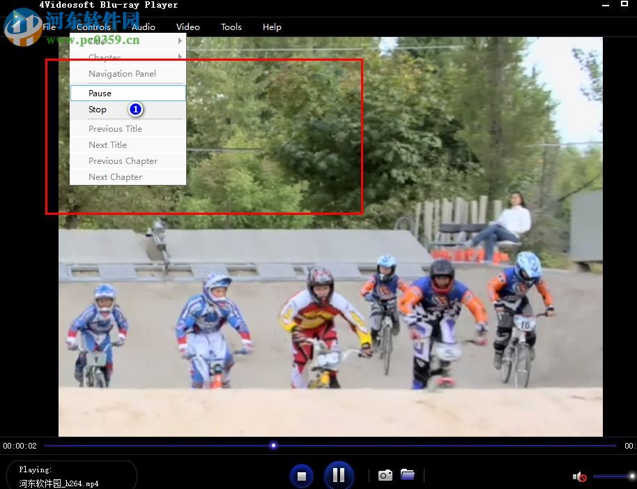 videosoft bluray player 6.1.68 绿色版